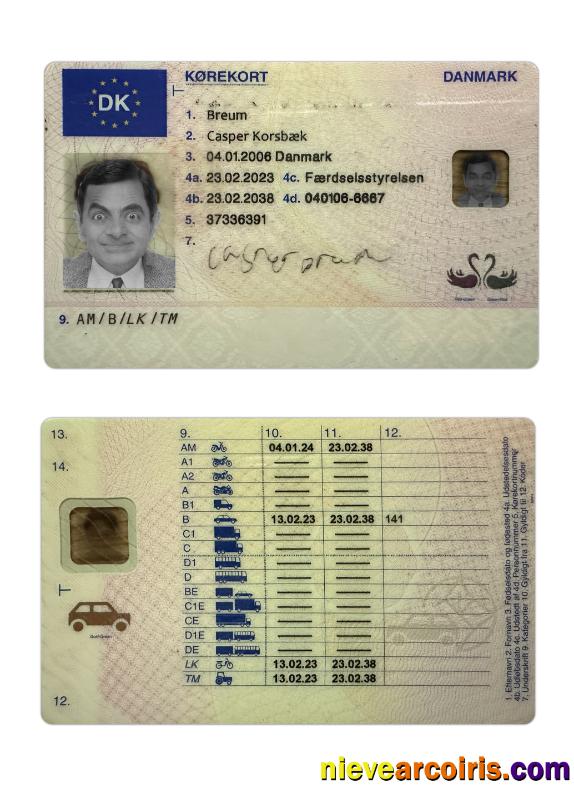 Denmark driving license 2023-present